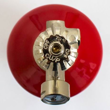 Extintor Automatico 2Kg ANAF