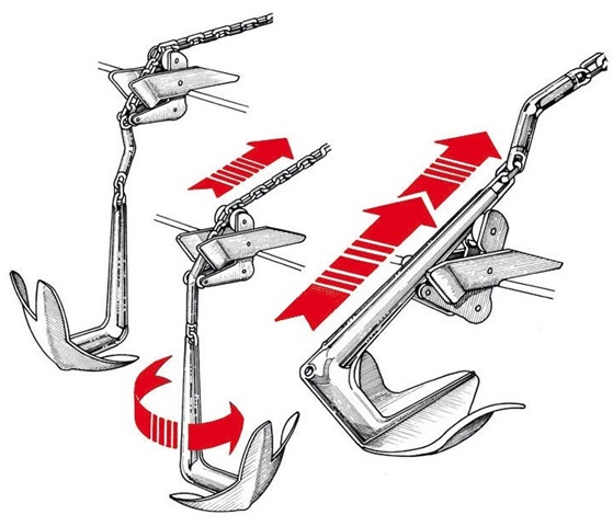 Conector Ancla TWIST