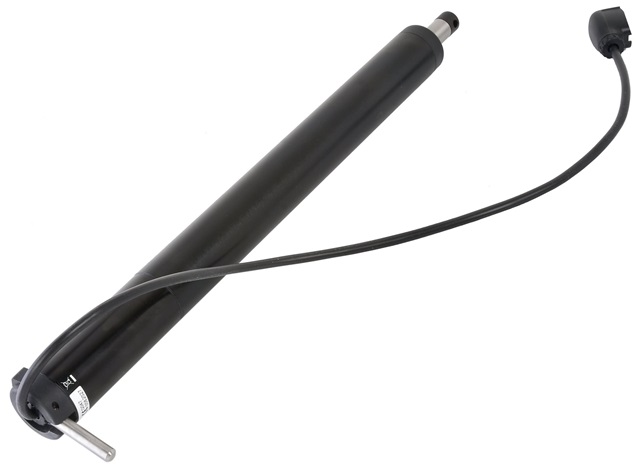 Piloto RAYMARINE EV-100 Tiller