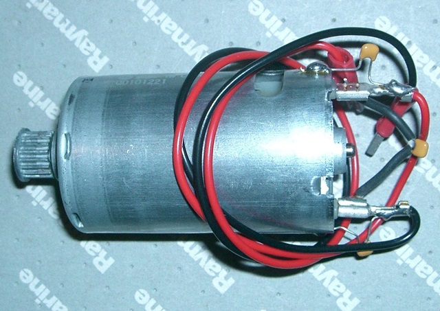 Motor RAYMARINE Q100