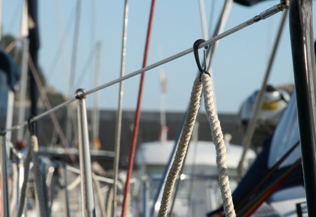 TidyClip Pinza