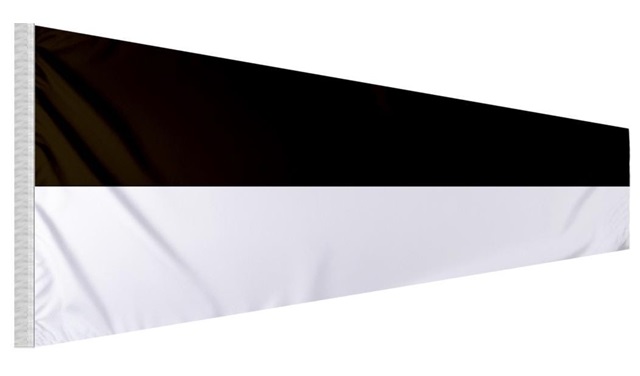 Bandera Charter N6 25x88cm