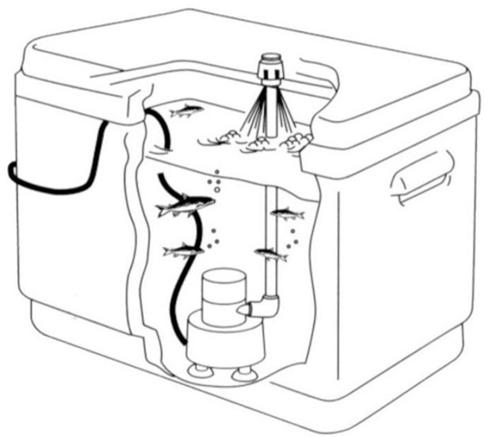 Aireador TMC 250GPH